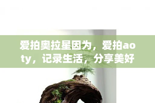 爱拍奥拉星因为，爱拍aoty，记录生活，分享美好