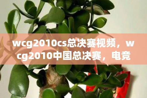 wcg2010cs总决赛视频,wcg2010中国总决赛,电竞盛宴的巅峰对决 wcg2010cs总决赛视频,wcg2010中国总决赛,电竞盛宴的巅峰对决