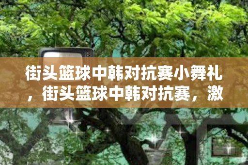 街头篮球中韩对抗赛小舞礼，街头篮球中韩对抗赛，激情碰撞，技艺比拼