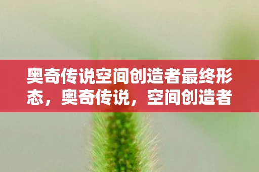 奥奇传说空间创造者最终形态，奥奇传说，空间创造者的传奇之旅