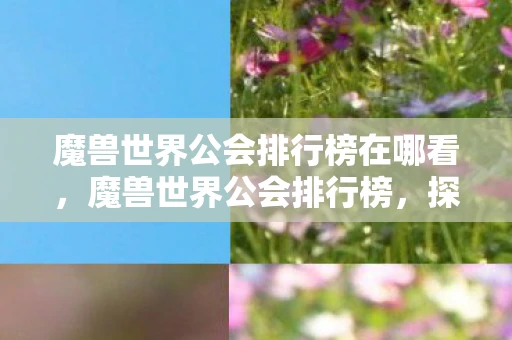 魔兽世界公会排行榜在哪看，魔兽世界公会排行榜，探索艾泽拉斯的荣耀殿堂