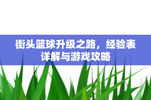 经验表详解与游戏攻略图片