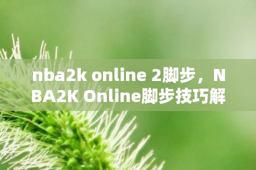nba2k online 2脚步,NBA2K Online脚步技巧解析 nba2k online 2脚步,NBA2K Online脚步技巧解析