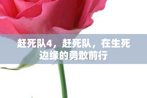 赶死队4，赶死队，在生死边缘的勇敢前行