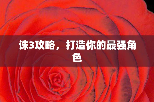 诛3攻略，打造你的最强角色