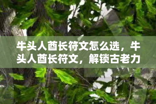 牛头人酋长符文怎么选，牛头人酋长符文，解锁古老力量的神秘符文