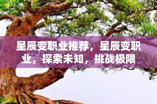 星辰变职业推荐，星辰变职业，探索未知，挑战极限
