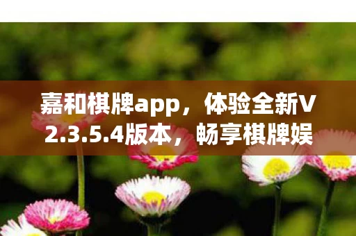 嘉和棋牌app图片