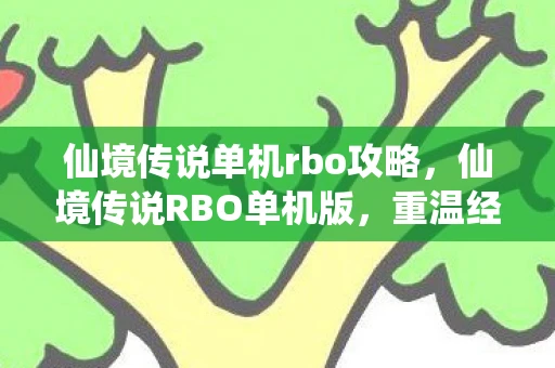 仙境传说单机rbo攻略，仙境传说RBO单机版，重温经典，独享冒险
