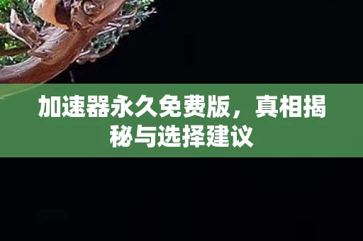 加速器永久免费版,真相揭秘与选择建议 加速器永久免费版,真相揭秘与选择建议
