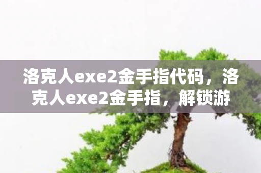洛克人exe2金手指代码，洛克人exe2金手指，解锁游戏潜力的神秘钥匙