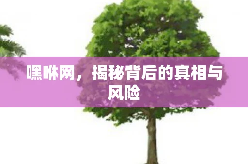 嘿咻网，揭秘背后的真相与风险