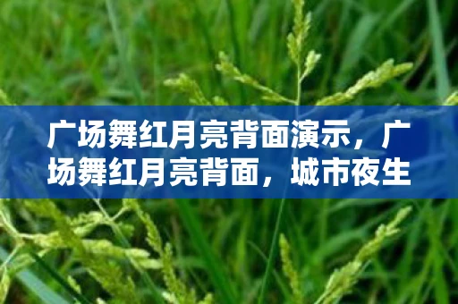 广场舞红月亮背面演示,广场舞红月亮背面,城市夜生活的另类风景线 广场舞红月亮背面演示,广场舞红月亮背面,城市夜生活的另类风景线