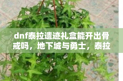 dnf泰拉遗迹礼盒能开出骨戒吗,地下城与勇士,泰拉遗迹的传奇挑战 dnf泰拉遗迹礼盒能开出骨戒吗,地下城与勇士,泰拉遗迹的传奇挑战