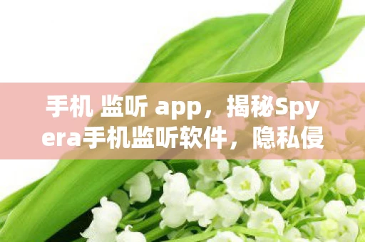 手机 监听 app,揭秘Spyera手机监听软件,隐私侵犯的隐形杀手 手机 监听 app,揭秘Spyera手机监听软件,隐私侵犯的隐形杀手
