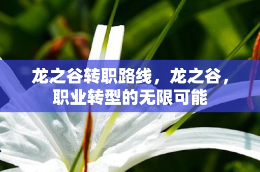 龙之谷转职路线，龙之谷，职业转型的无限可能