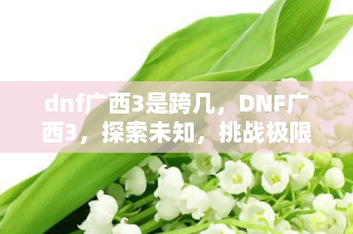 dnf广西3是跨几，DNF广西3，探索未知，挑战极限
