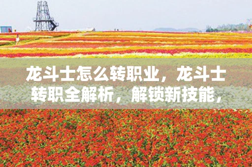 龙斗士怎么转职业，龙斗士转职全解析，解锁新技能，开启职业新篇章