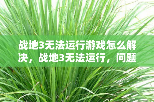 战地3无法运行游戏怎么解决，战地3无法运行，问题排查与解决方案