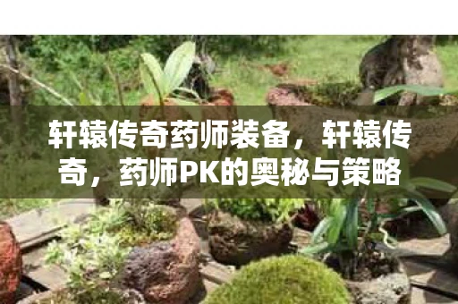 轩辕传奇药师装备，轩辕传奇，药师PK的奥秘与策略