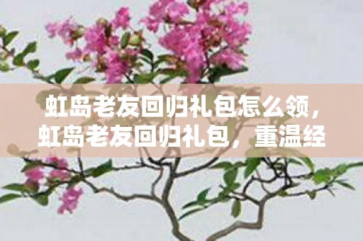 虹岛老友回归礼包怎么领，虹岛老友回归礼包，重温经典，再续前缘
