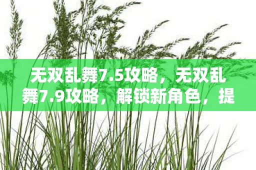 无双乱舞7.5攻略,无双乱舞7.9攻略,解锁新角色,提升战力,称霸战场! 无双乱舞7.5攻略,无双乱舞7.9攻略,解锁新角色,提升战力,称霸战场!