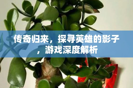 探寻英雄的影子图片