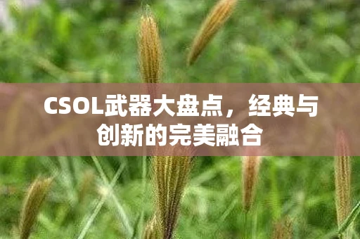 CSOL武器大盘点，经典与创新的完美融合
