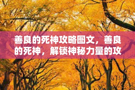 善良的死神攻略图文,善良的死神,解锁神秘力量的攻略 善良的死神攻略图文,善良的死神,解锁神秘力量的攻略