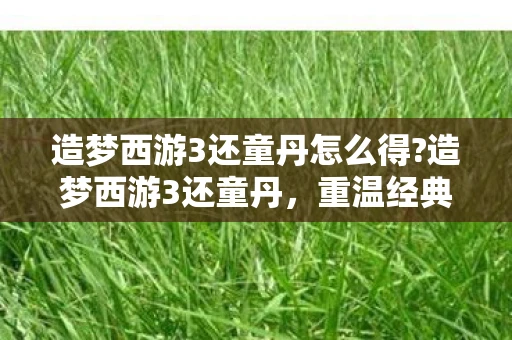 造梦西游3还童丹怎么得?造梦西游3还童丹，重温经典，再续前缘