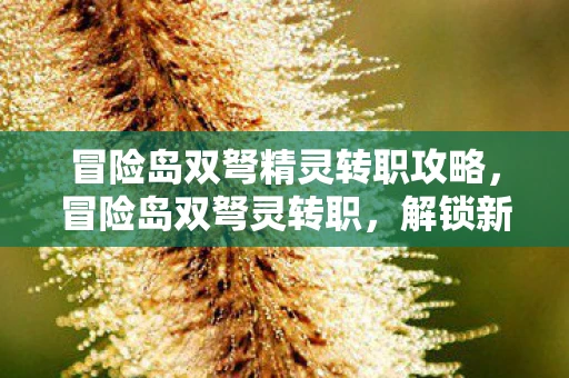 冒险岛双弩精灵转职攻略，冒险岛双弩灵转职，解锁新技能，探索未知领域