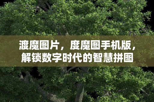 渡魔图片，度魔图手机版，解锁数字时代的智慧拼图