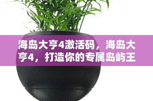 海岛大亨4激活码，海岛大亨4，打造你的专属岛屿王国