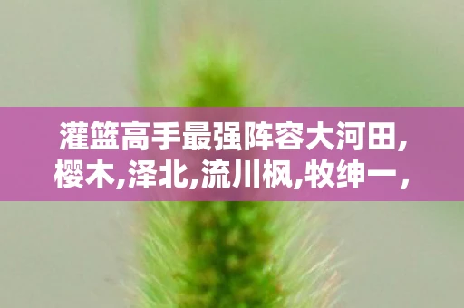 灌篮高手最强阵容大河田,樱木,泽北,流川枫,牧绅一，灌篮高手最强阵容，谁将称霸篮坛？