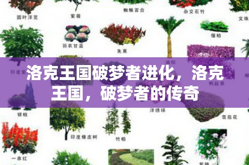 洛克王国破梦者进化，洛克王国，破梦者的传奇