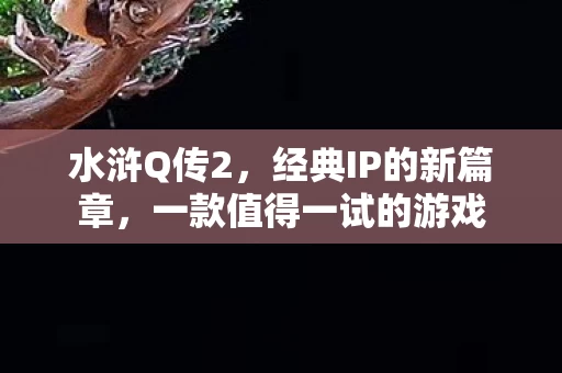 一款值得一试的游戏图片