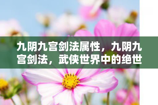 九阴九宫剑法属性，九阴九宫剑法，武侠世界中的绝世剑法