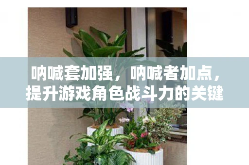 呐喊套加强，呐喊者加点，提升游戏角色战斗力的关键