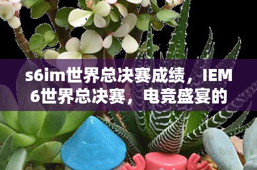 s6im世界总决赛成绩，IEM6世界总决赛，电竞盛宴的巅峰对决