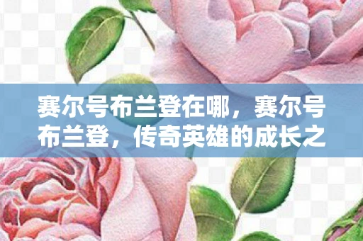 赛尔号布兰登在哪，赛尔号布兰登，传奇英雄的成长之路