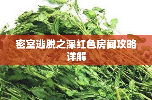 密室逃脱之深红色房间攻略详解图片
