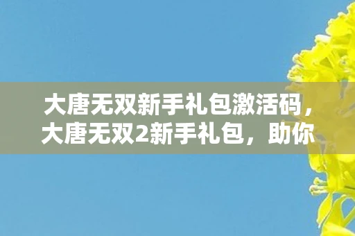 大唐无双新手礼包激活码，大唐无双2新手礼包，助你快速启程的秘籍