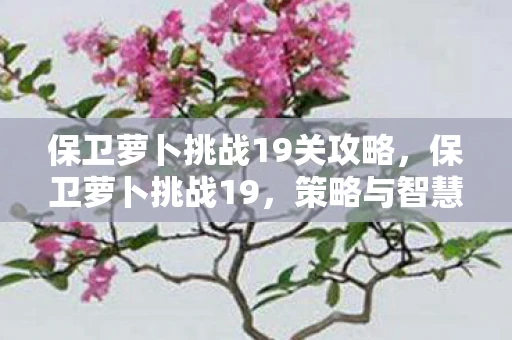 保卫萝卜挑战19关攻略，保卫萝卜挑战19，策略与智慧的双重考验