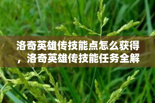 洛奇英雄传技能点怎么获得，洛奇英雄传技能任务全解析，掌握战斗艺术的必经之路