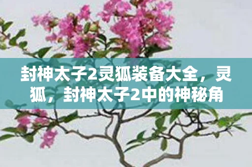 封神太子2灵狐装备大全，灵狐，封神太子2中的神秘角色