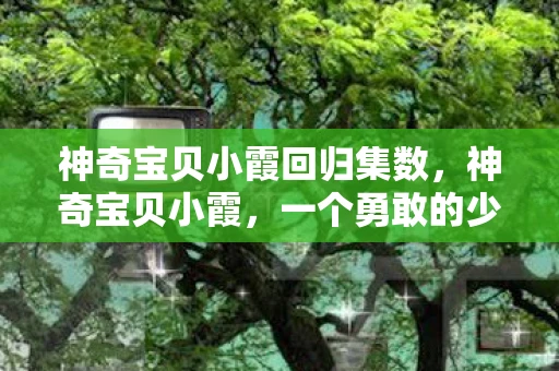 神奇宝贝小霞回归集数,神奇宝贝小霞,一个勇敢的少女训练师 神奇宝贝小霞回归集数,神奇宝贝小霞,一个勇敢的少女训练师