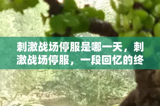 刺激战场停服是哪一天，刺激战场停服，一段回忆的终结与新的开始