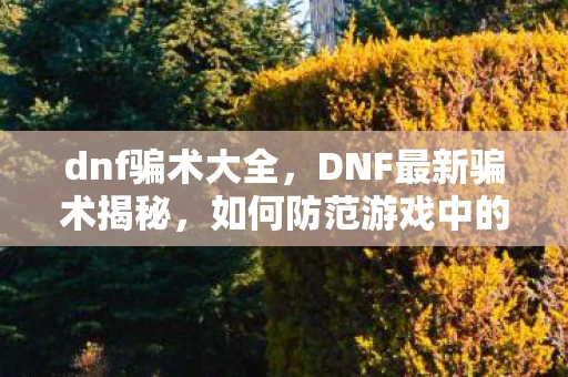 dnf骗术大全，DNF最新骗术揭秘，如何防范游戏中的诈骗行为