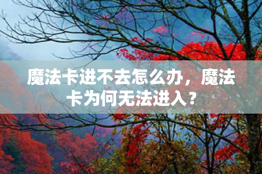 魔法卡进不去怎么办，魔法卡为何无法进入？