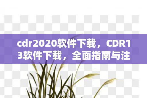 cdr2020软件下载,CDR13软件下载,全面指南与注意事项 cdr2020软件下载,CDR13软件下载,全面指南与注意事项